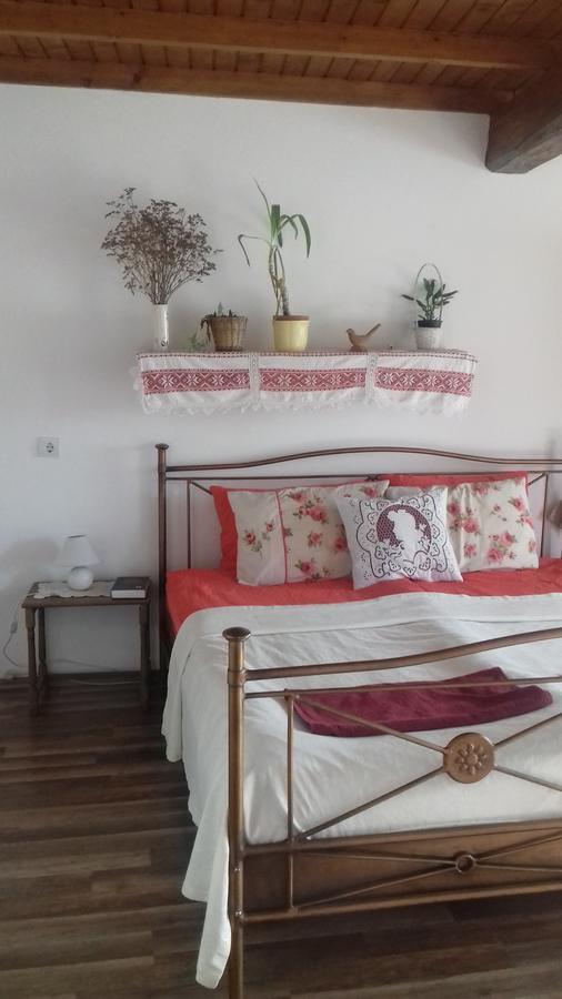 فندق Rigofuetty Vendeghaz Tiszaalpar المظهر الخارجي الصورة